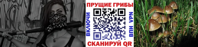 Галлюциногенные грибы ЛСД  купить закладку  мега tor  Тюкалинск 